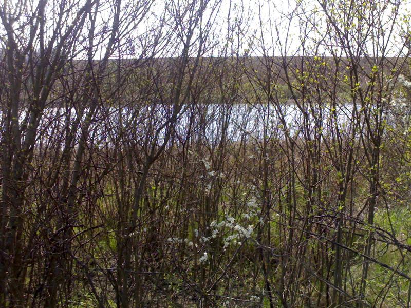 200704091667 .jpg